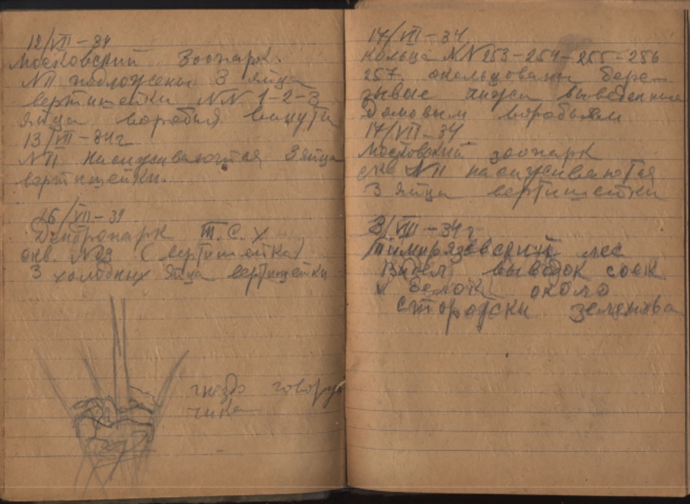 Рис. 4. КЮБЗовский дневник Л.Г. Динесмана (1934 г.).