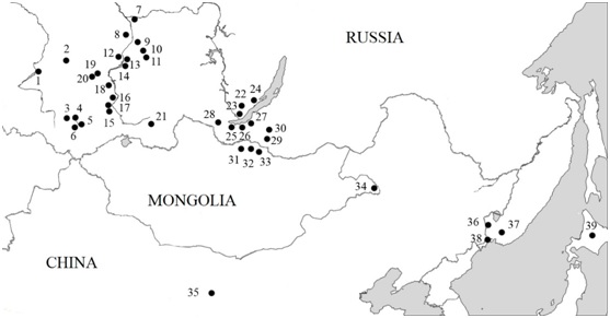 Fig. 1. Geographic distribution of A. peninsulae Thomas and collection numbers. numbers beside points are location numbers shown in Table 1.