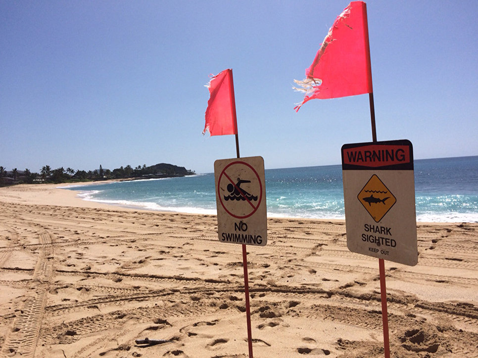 Предупреждение об акулах на пляже парка Макаха-Бич на Гавайях