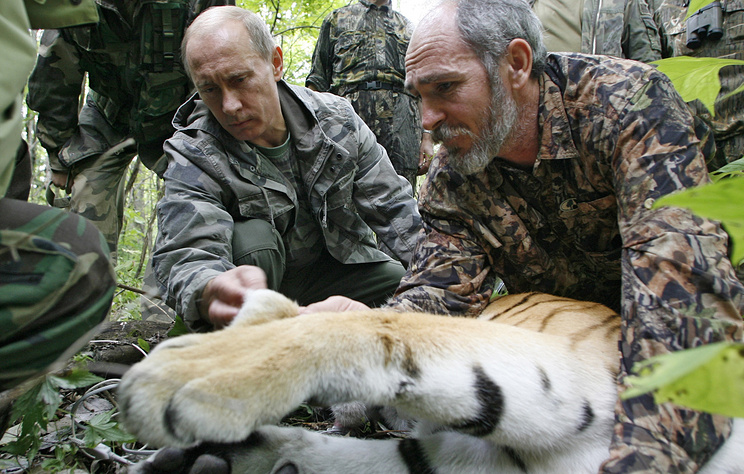 Путин и тигр