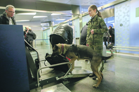 Технические средства уступают собачьему носу по вероятности обнаружения взрывчатых и наркотических веществ. Фото агентства «Москва»