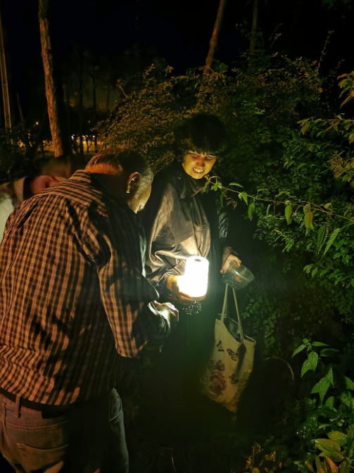 Ночной дозор. Попытка поймать хомяка ночью в городском парке Нальчика. Увы, неудачная