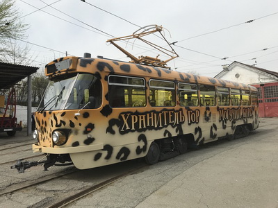 Трамвай, окрашенный в цвета переднеазиатского леопарда. Владиковказ.