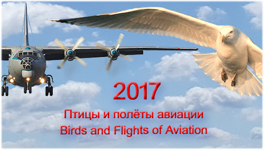 Сотрудники ИПЭЭ РАН участвовали в организации и проведении конференции по орнитологическому обеспечению безопасности полетов «Птицы и полеты авиации».