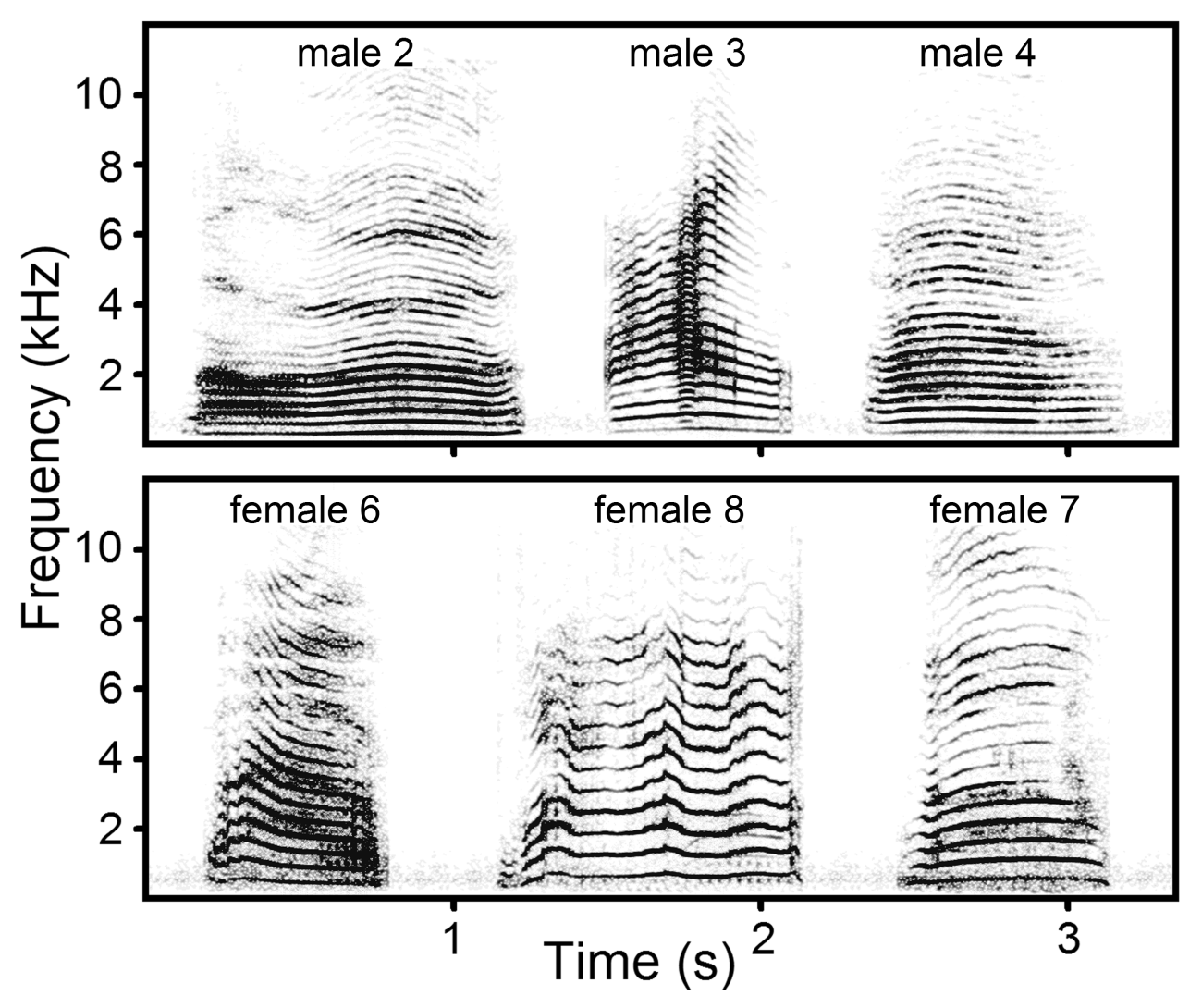 Researchers have found that the meowing of domestic cats contains  information about the gender and individuality of the animals | IEE RAS