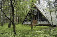 Экспериментальный полигон для изучения социального поведения полевок